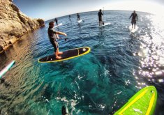 Paddle Surf