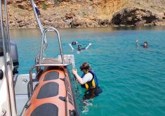 SNORKEL BOAT TRIP