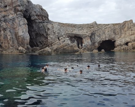 snorkel caves