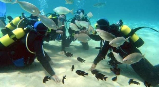 buceadores menorca
