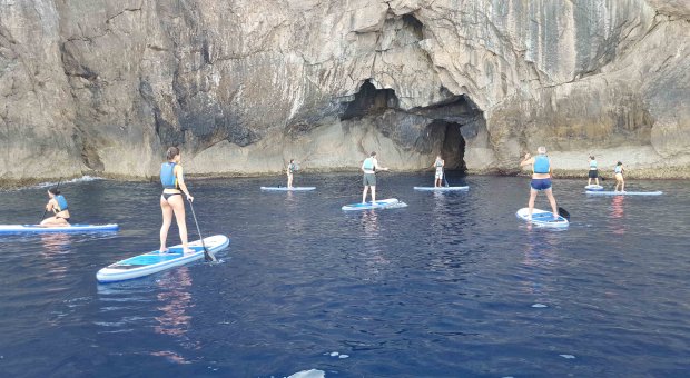 Paddle surf excursion north coast (marine reserve)