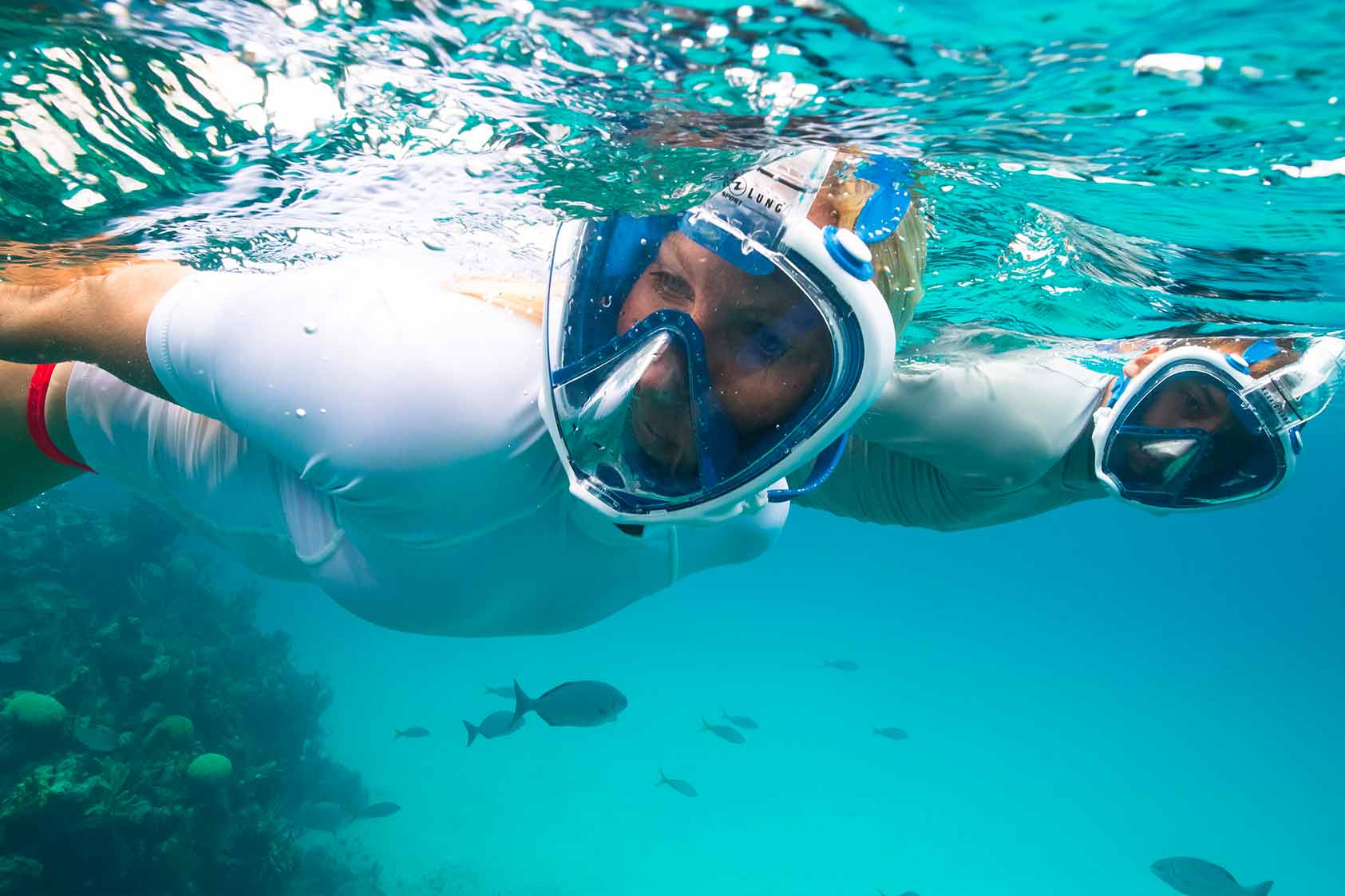 ¿Cuáles son las mejores calas de Menorca para hacer snorkel? 
