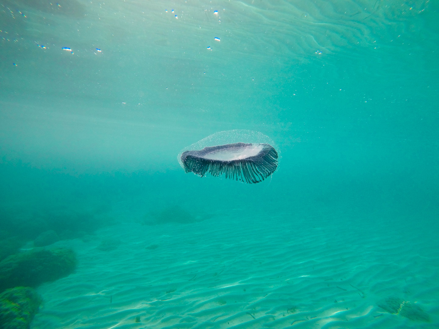 ¿Dónde hacer snorkel en Menorca?