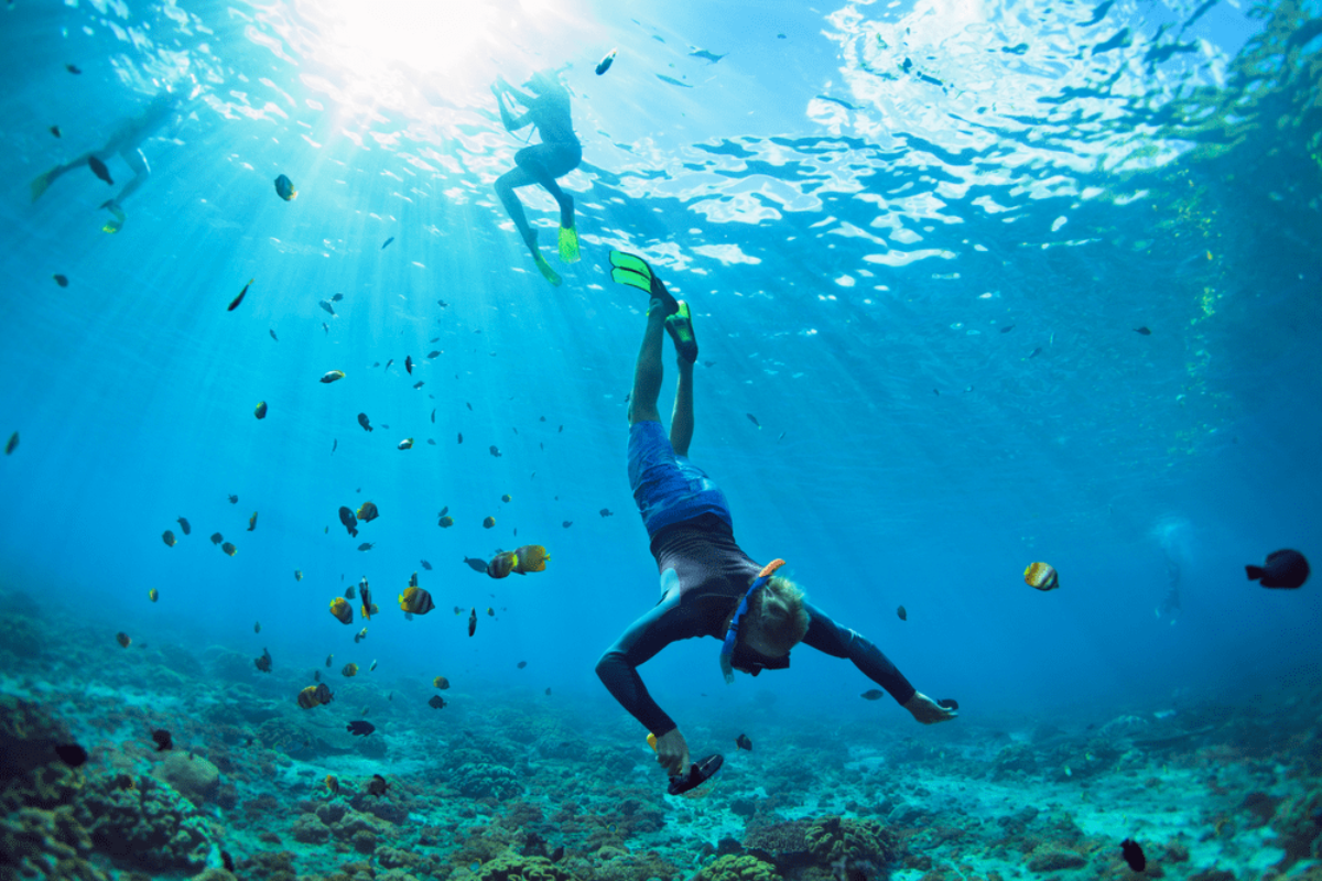 ¿Dónde practicar snorkel en Menorca?
